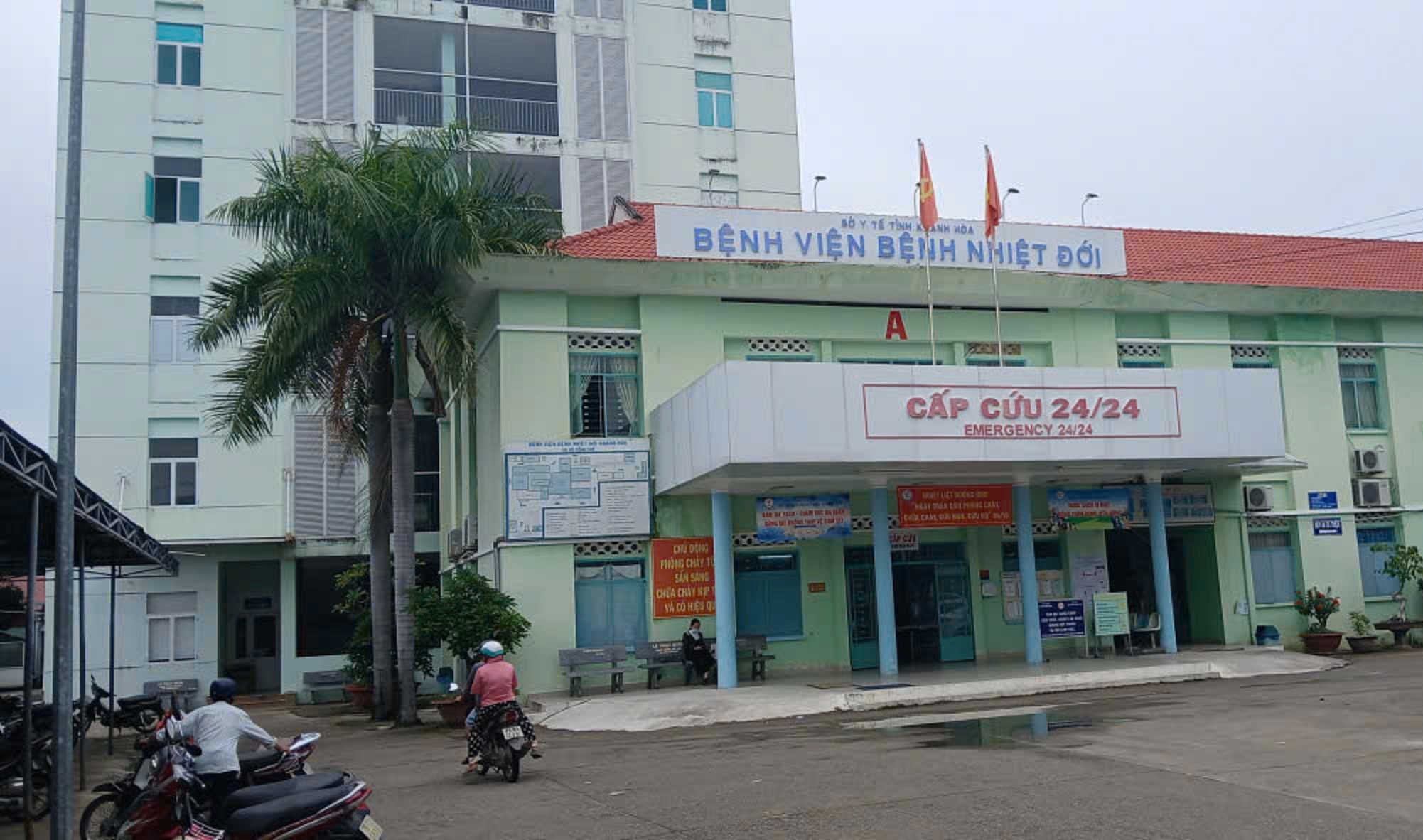 Ghi nhận nhiều người bị giun lươn ở Khánh Hòa, bác sĩ cảnh báo mức độ nguy hiểm nếu không điều trị sớm - Ảnh 1.