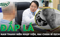 Khám Phá 3 Loại Cá Giá Rẻ Tăng Cường Dinh Dưỡng Tại Chợ Việt