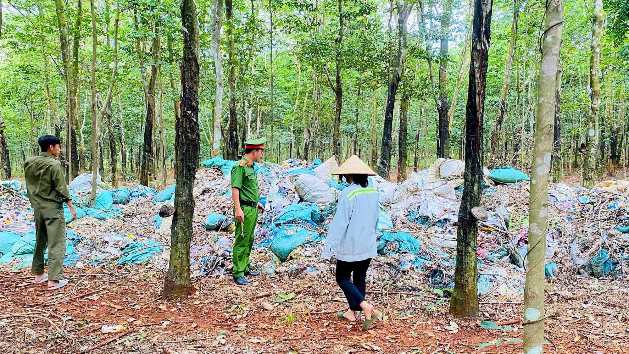 Bê Tông Hóa Rừng Cao Su: Vụ Đổ Chất Thải Bị Phát Hiện Tại Đồng Nai