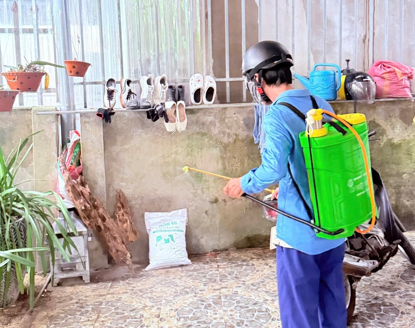 Hà Tĩnh Phát Hiện Ổ Dịch Sốt Xuất Huyết: Nguy Cơ và Biện Pháp Ứng Phó