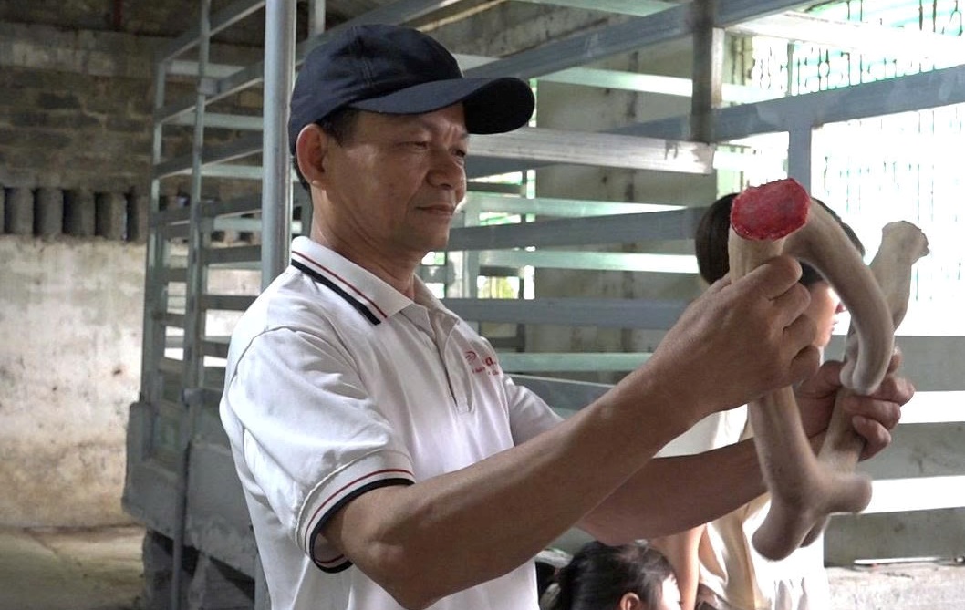 Hành Trình Biến Đam Mê Nuôi Hươu Sao Thành Mô Hình Kinh Doanh Thành Công