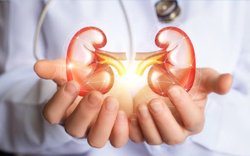 Khi Nào Bệnh Nhân Thận Mạn Nên Sử Dụng Statin Để Bảo Vệ Tim Mạch?