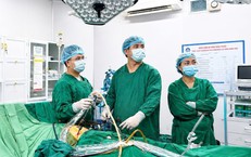 Tăng Cường Biện Pháp Ngăn Ngừa Dịch Sốt Xuất Huyết Tại Hà Tĩnh