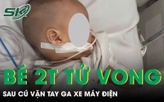 Video cảnh báo về ăn đào để qua đêm: đọc kỹ trước khi tin và xử lý thông tin thế nào