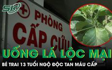 Khám Phá Tầm Quan Trọng Của Việc Tầm Soát Bệnh Tim Mạch