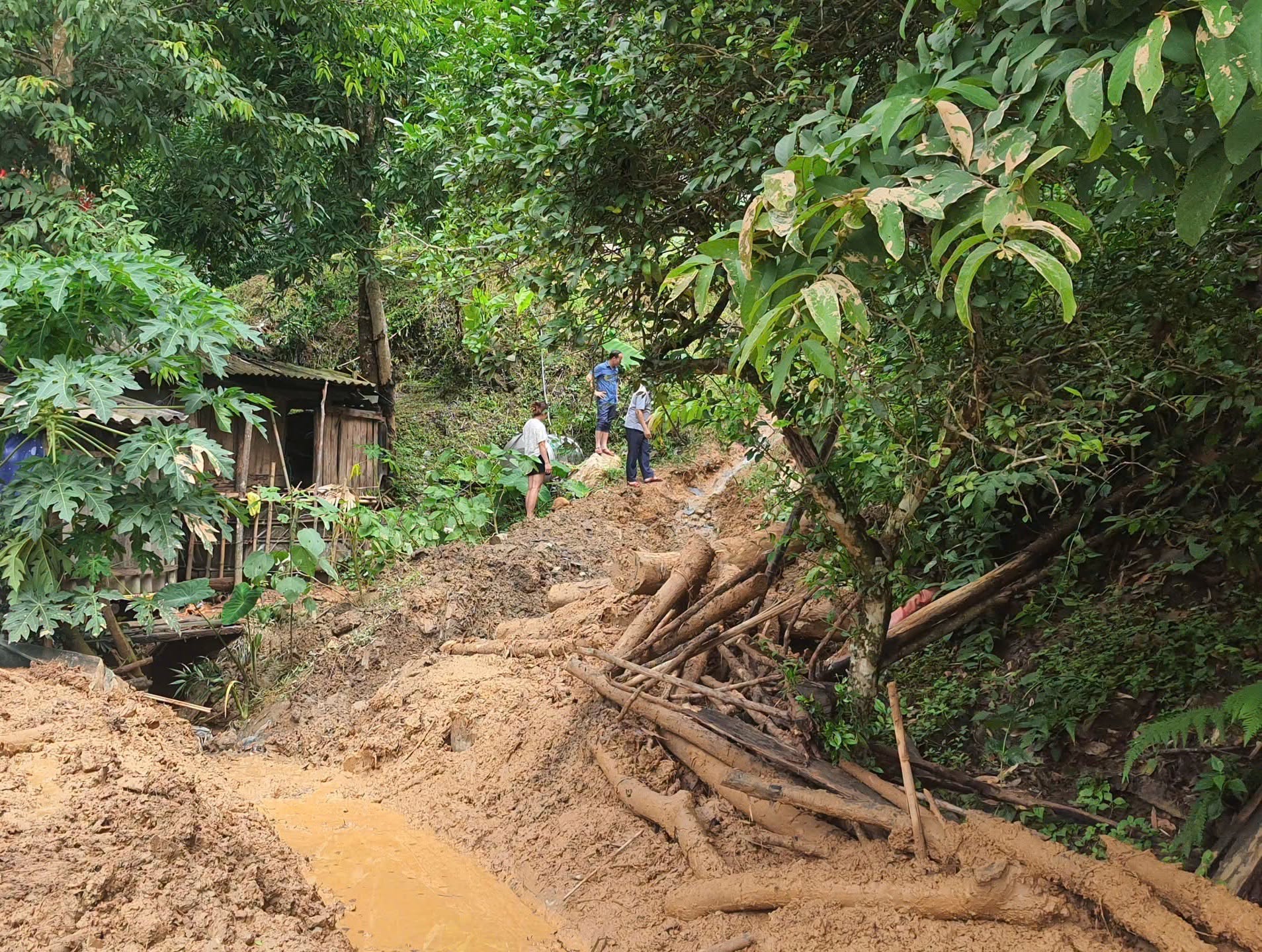 Nghệ An khẩn trương khắc phục hậu quả mưa lớn, bảo đảm an toàn cho người dân - Ảnh 4.