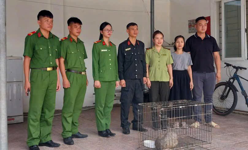 Phát Hiện Cá Thể Tê Tê Quý Hiếm Nặng Gần 7 Kg Tại Nghệ An