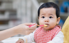 Những Lưu Ý Quan Trọng Khi Tiêu Thụ Mướp Đắng Để Bảo Vệ Sức Khỏe