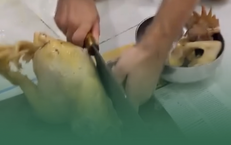 Thời Điểm Vàng Để Gan Khỏe Mạnh Và Thải Độc Tốt Hơn
