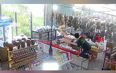 Hiểu Về Ung Thư Máu: Không Phải Là Tuyệt Vọng