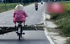 Nguy Cơ Từ Bệnh Dại: Câu Chuyện Đáng Lo Ngại Của Một Bé Gái 9 Tuổi