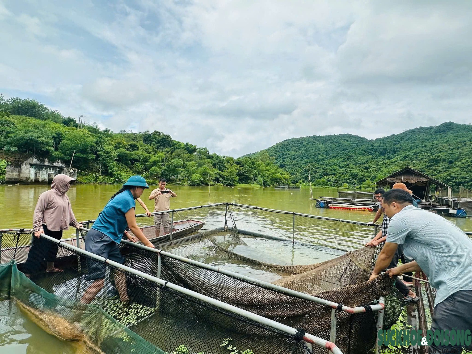 Cá trên sông Lam tiếp tục chết, thiệt hại hơn 2,7 tấn sau gần 2 tháng- Ảnh 1.