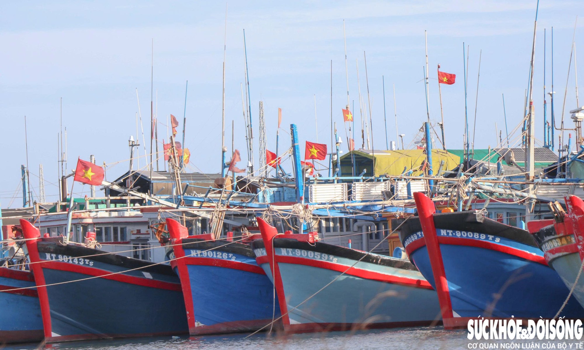 Khánh Hòa siết chặt chống khai thác IUU, quyết tâm gỡ 'thẻ vàng' EC - Ảnh 3.