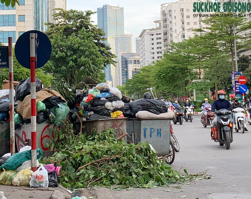 Chính Phủ Đưa Ra Những Giải Pháp Mới Để Bảo Vệ Môi Trường Và Ứng Phó Biến Đổi Khí Hậu