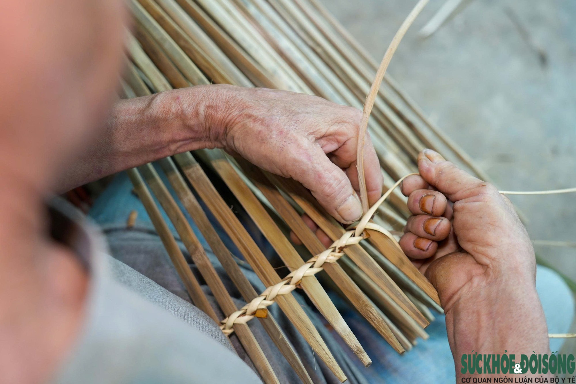 Khám Phá Tương Lai Nghề Đan Nơm Qua Thời Đại Số
