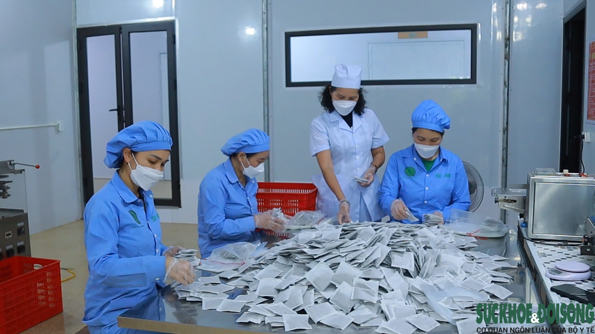 Nghệ An loay hoay nâng giá trị cây dược liệu- Ảnh 5.