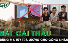 Hành Động Đáng Khen Của Người Dân Khi Giao Nộp Rùa Núi Vàng Quý Hiếm