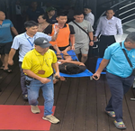 Lễ Khai Sinh Đầy Ý Nghĩa Tại Cơ Sở 2 Bệnh Viện Phụ Sản Trung Ương