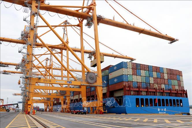 cang-1785583809006-17855838113231670007100 - Ảnh 1.