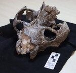 Tăng Cường Quản Lý Tài Chính: Định Hướng Mới Từ Thủ Tướng