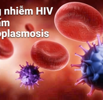 Nguy Cơ Ung Thư Từ Virus HPV: Hiểu Để Phòng Ngừa Hiệu Quả