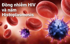 Nguy Cơ Ung Thư Từ Virus HPV: Hiểu Để Phòng Ngừa Hiệu Quả