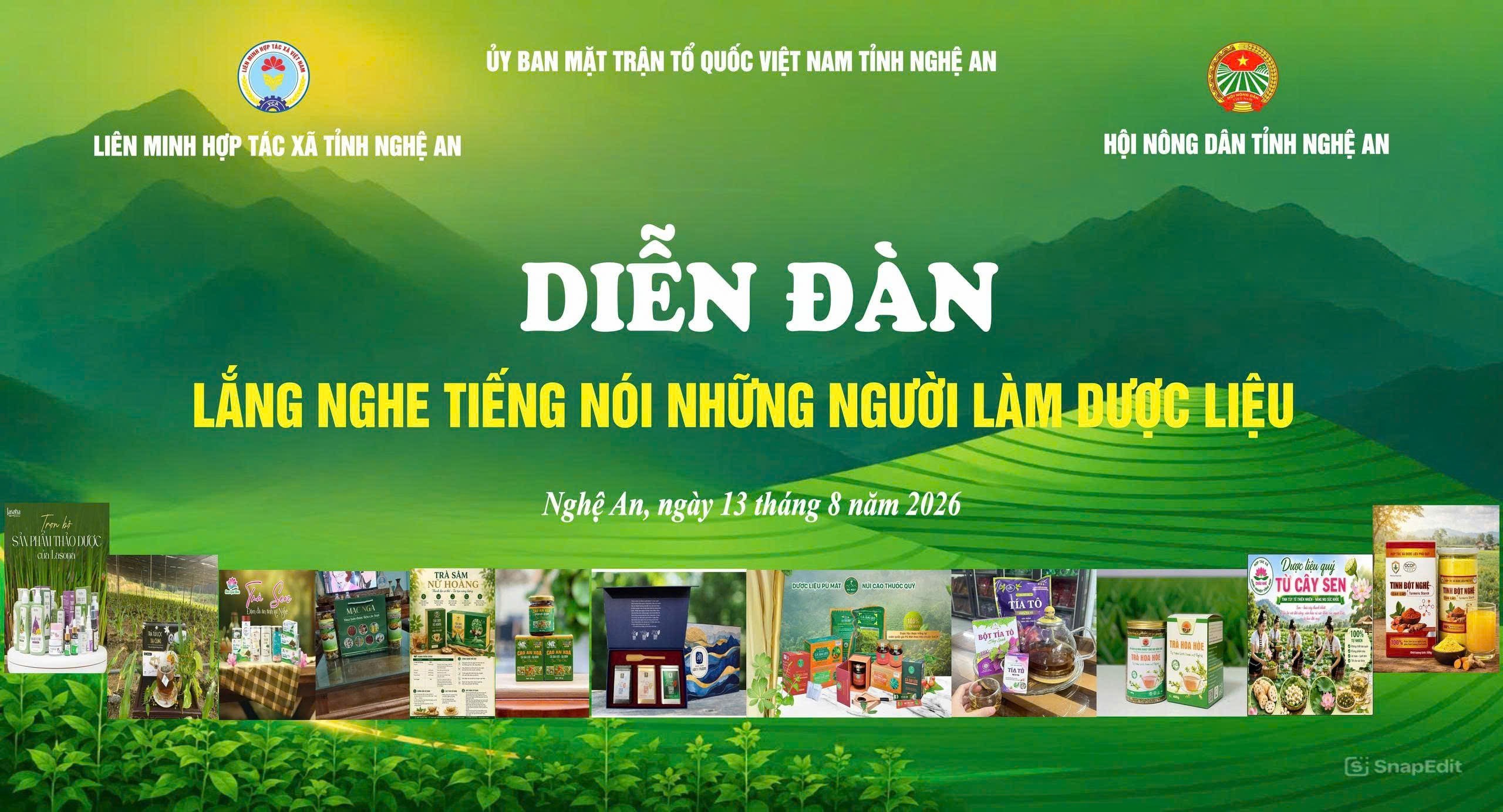 Nghệ An: Hướng Đi Bền Vững Cho Ngành Dược Liệu Tương Lai- Ảnh 1.