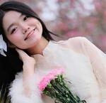 Hà Nội Xử Phạt 33 Doanh Nghiệp Kinh Doanh Răng Giả Vi Phạm Luật
