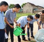 Cảnh Báo Về Rủi Ro Khi Trẻ Em Tự Ý Điều Trị Đau Bụng
