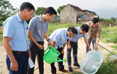 Cảnh Báo Về Rủi Ro Khi Trẻ Em Tự Ý Điều Trị Đau Bụng