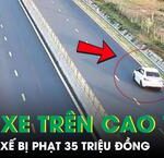 Khám Phá 17 Loài Chim Mới Tại Vườn Quốc Gia Phong Nha – Kẻ Bàng