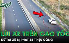 Khám Phá 17 Loài Chim Mới Tại Vườn Quốc Gia Phong Nha – Kẻ Bàng