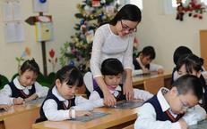 Cảnh Báo Tình Trạng Cò Mồi Tại Sân Bay Nội Bài: Vi Phạm và Hình Phạt Nặng