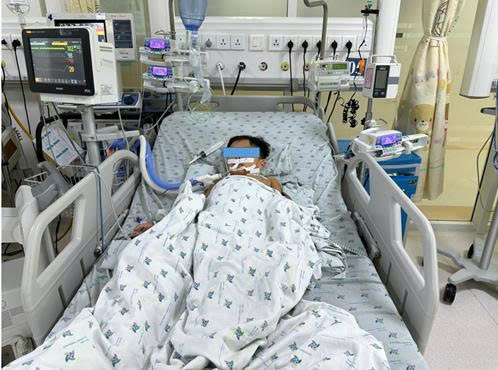 Nguy Cơ Ngộ Độc Từ Thịt Chuột Đồng: Ba Trẻ Em Nhập Viện Trong Tình Trạng Nghiêm Trọng