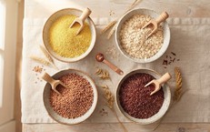 Tại Sao Kẽm Chelate Quan Trọng Đối Với Dinh Dưỡng Trẻ Em Trong Thời Kỳ Bệnh Tật?