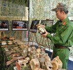 Chuyến Thăm Cấp Nhà Nước Của Tô Lâm Tới New Zealand: Những Thành Tựu Đáng Kể