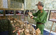 Đại Học Huế Rà Soát Chấp Nhận Chứng Chỉ Ngoại Ngữ Trong Tuyển Sinh 2026