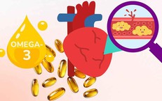 Khám Phá Tương Lai Của Y Học Bào Thai Tại Việt Nam: Sự Kết Nối Giữa Các Chuyên Gia Quốc Tế
