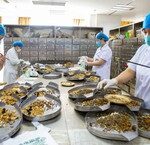 Bảo Hiểm Y Tế: Vai Trò và Đóng Góp Đáng Kể Trong Chăm Sóc Sức Khỏe