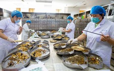 Bảo Hiểm Y Tế: Vai Trò và Đóng Góp Đáng Kể Trong Chăm Sóc Sức Khỏe