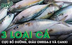 Khám Phá Cây Dại Ven Suối: Giải Pháp Tự Nhiên Cho Người Bệnh Tiểu Đường