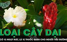 7 Thói Quen Hàng Ngày Giúp Tăng Cường Tuổi Thọ Của Bạn