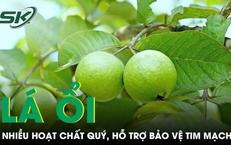 Câu Chuyện Cảnh Báo: Xuất Huyết Tiêu Hóa Ở Trẻ Em Cần Chú Ý