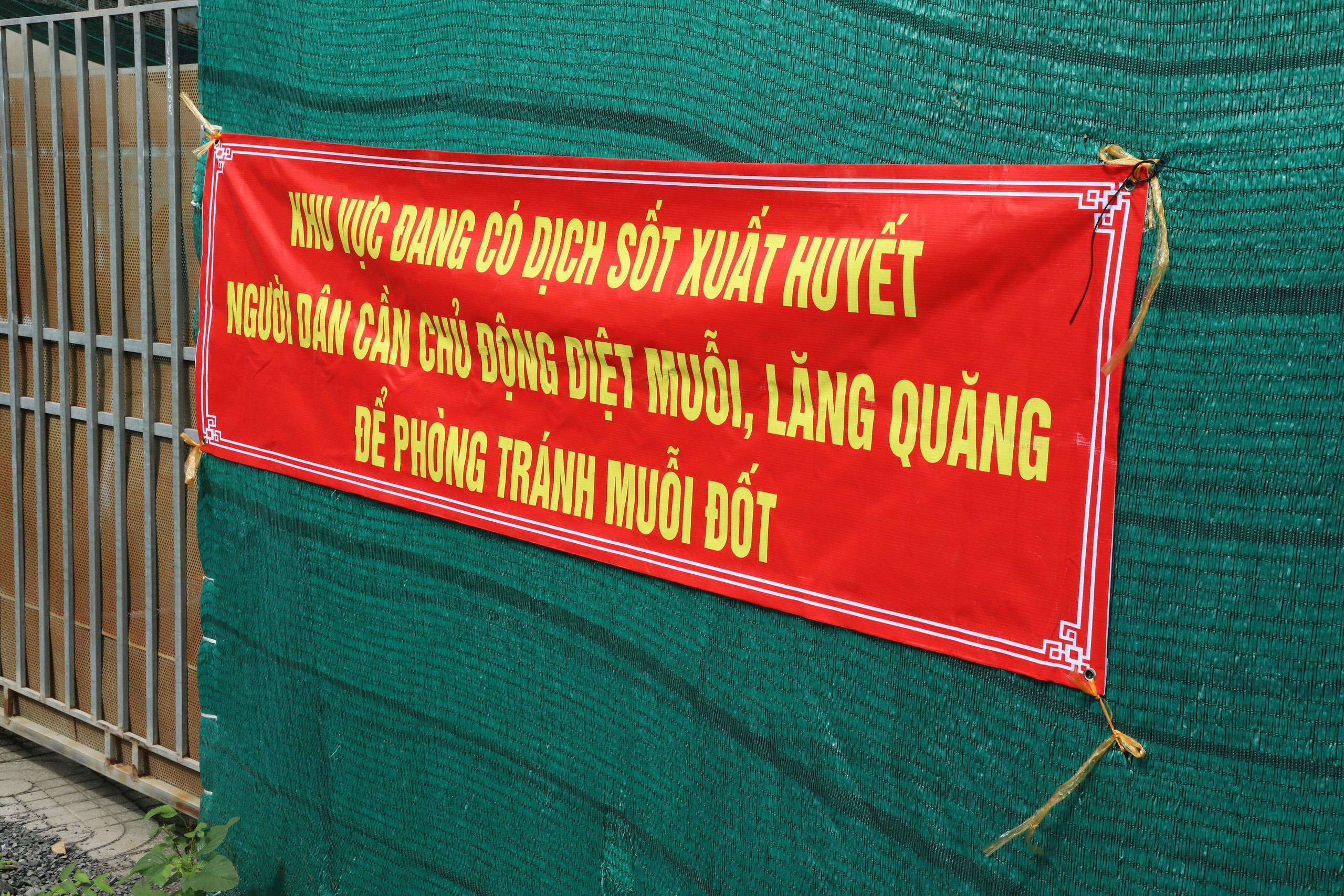 TPHCM cảnh báo dịch chồng dịch vào mùa mưa - Ảnh 1.
