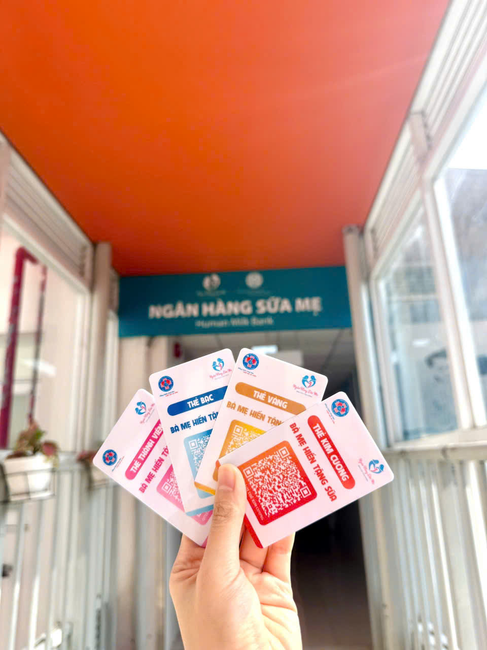 Những Hiểu Lầm Về Sữa Mẹ: Tiến Sĩ Võ Thị Ngọc Diệp Phân Tích