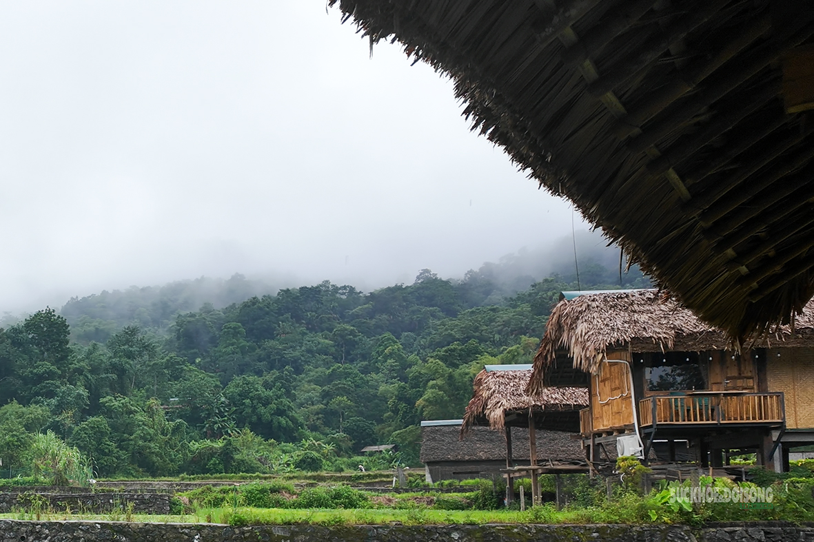 thon-tha-giu-nep-nha-san-mo-sinh-ke-tu-van-hoa-tay-11-17856385583071903882320 Thôn Tha gìn giữ văn hóa Tày và phát triển du lịch bền vững năm 2026 - Ảnh 5.