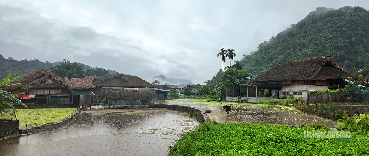 thon-tha-giu-nep-nha-san-mo-sinh-ke-tu-van-hoa-tay-7-17856382022381914477113 Thôn Tha gìn giữ văn hóa Tày và phát triển du lịch bền vững năm 2026 - Ảnh 1.