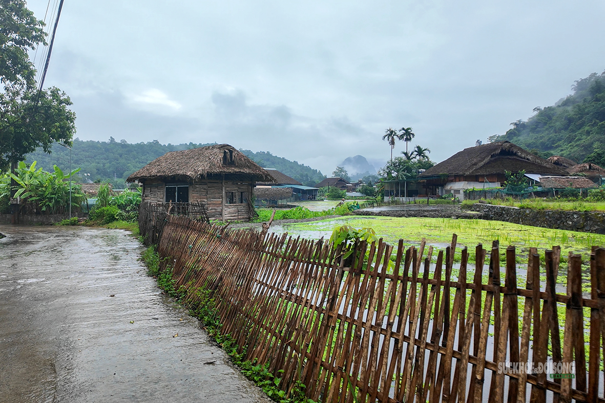thon-tha-giu-nep-nha-san-mo-sinh-ke-tu-van-hoa-tay-8-1785638432218781816985 Thôn Tha gìn giữ văn hóa Tày và phát triển du lịch bền vững năm 2026 - Ảnh 2.