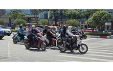 Khám Phá Hóa Thạch Rắn Cổ Đại: Những Đột Phá Trong Nghiên Cứu Tiến Hóa