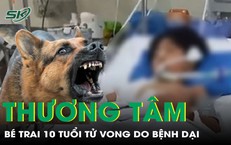Mối Nguy Hiểm Từ Viêm Ruột Thừa: Câu Chuyện Cấp Cứu Ba Em Nhỏ